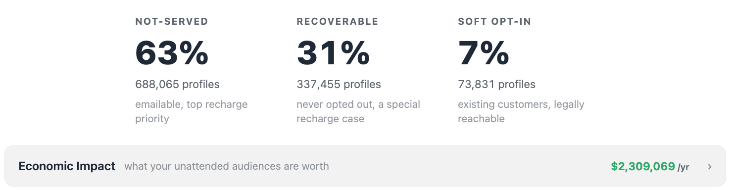 A brand's left-out audiences, sized and priced against its own email revenue
